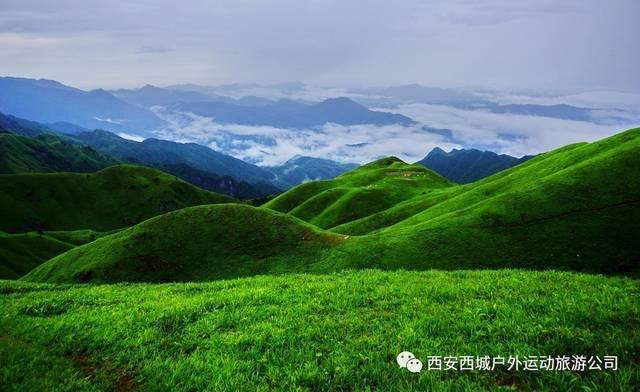 博主:辽宁沈阳城市可能引进中国台湾归化前锋安以恩