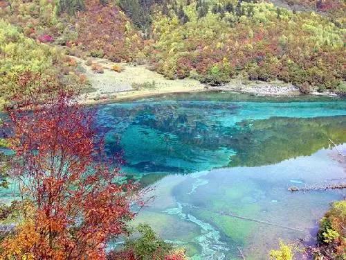 掘地挖宝